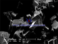 仲鎢酸銨SEM圖片 仲鎢酸銨SEM圖片